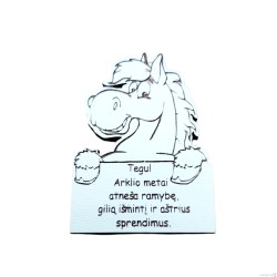 Graviruotas magnetukas