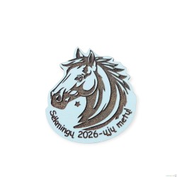 Graviruotas magnetukas 2026