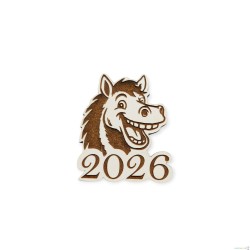 Graviruotas magnetukas